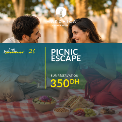 Picnic Escape