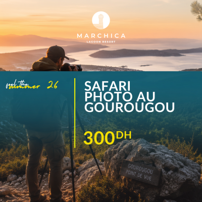 Safari photo au Gourougou